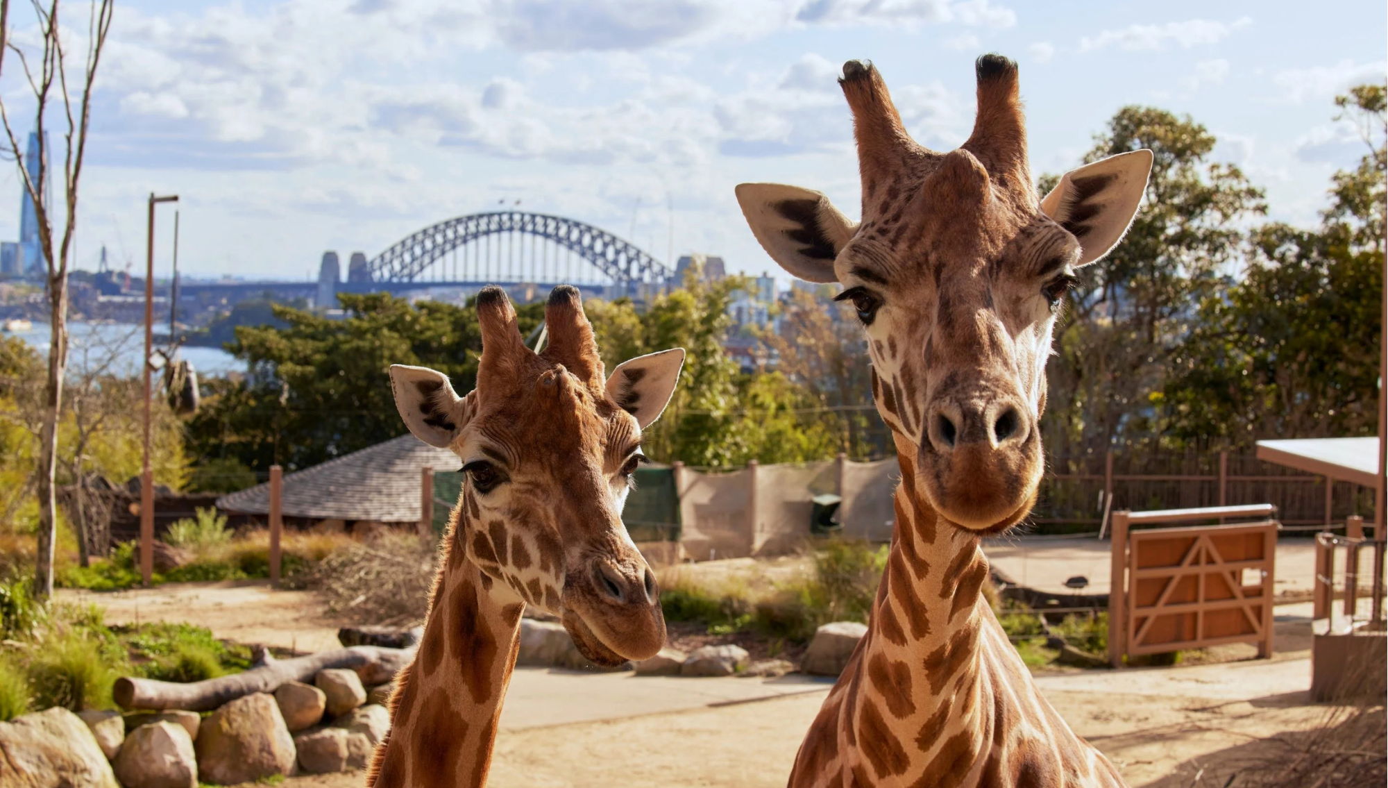 Taronga Zoo Sydney