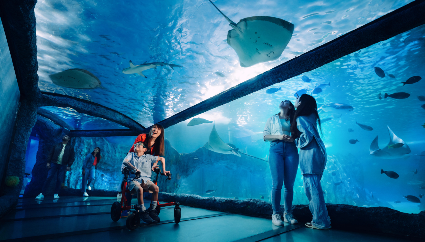 SEA LIFE Sydney Aquarium
