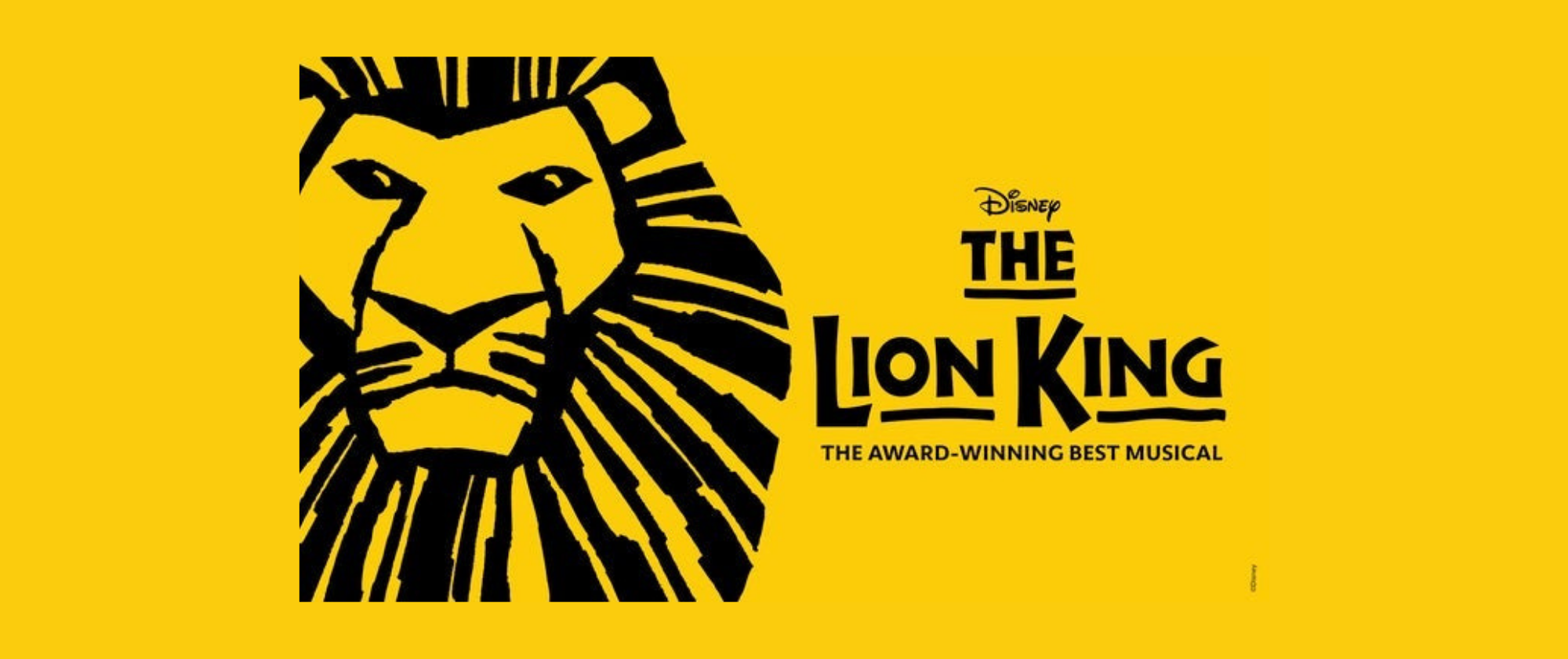 The Lion King at Capitol Theatre